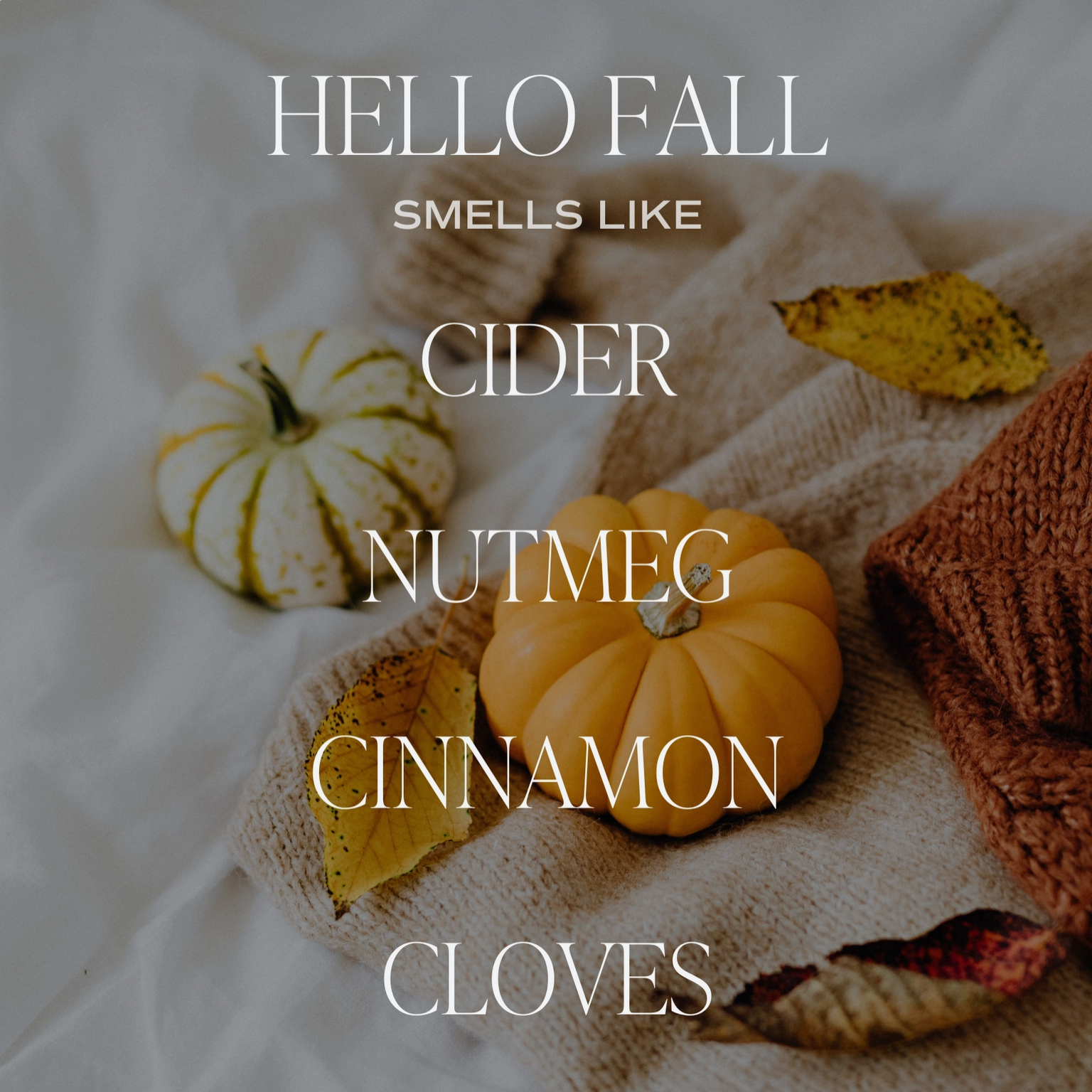 Hello Fall 11 oz Soy Candle